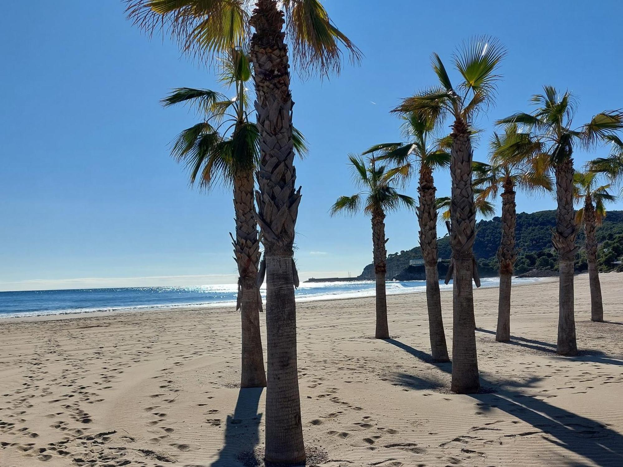 Apartamento Neptuno Sunrise Magic World Oropesa del Mar Extérieur photo